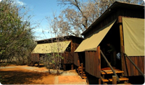 Mosetlha Bush Camp